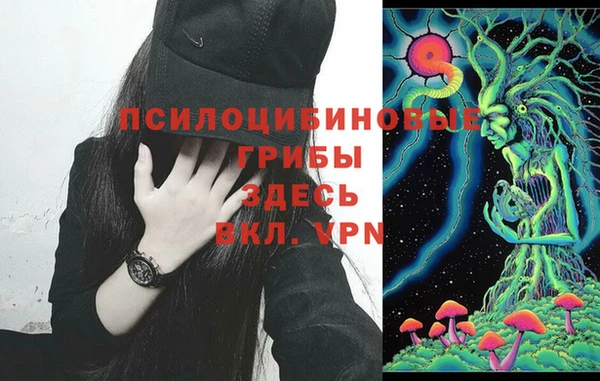 спиды Арсеньев