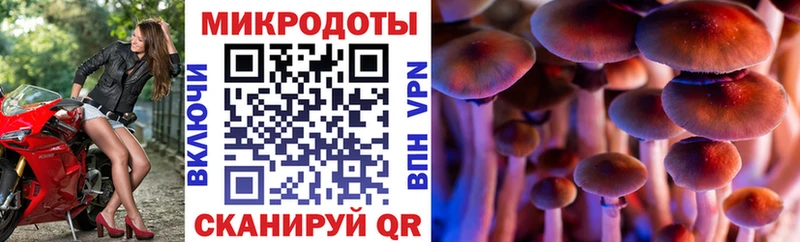 наркота  Динская  Галлюциногенные грибы MAGIC MUSHROOMS 